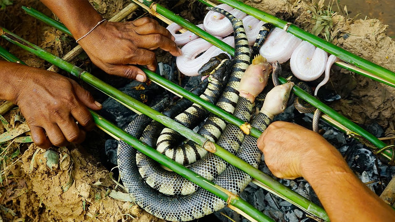 Grill Snake BBQ For Food In Forest Eating So Delicious.