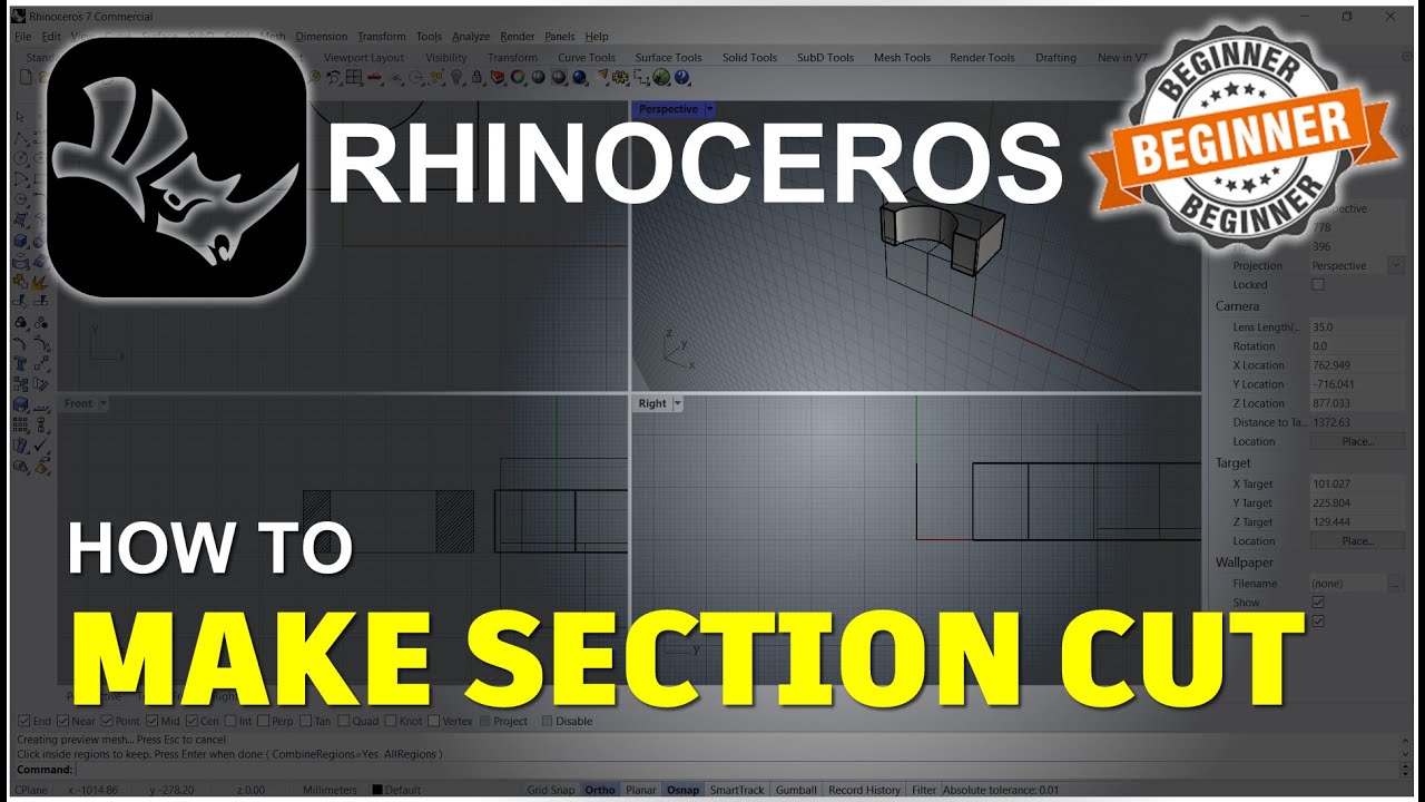 Rhino How To Make A Section Cut Tutorial