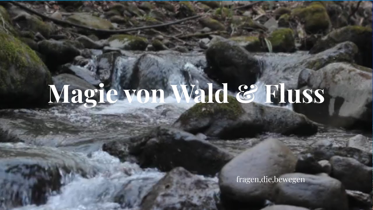 Magie von Wald & Fluss