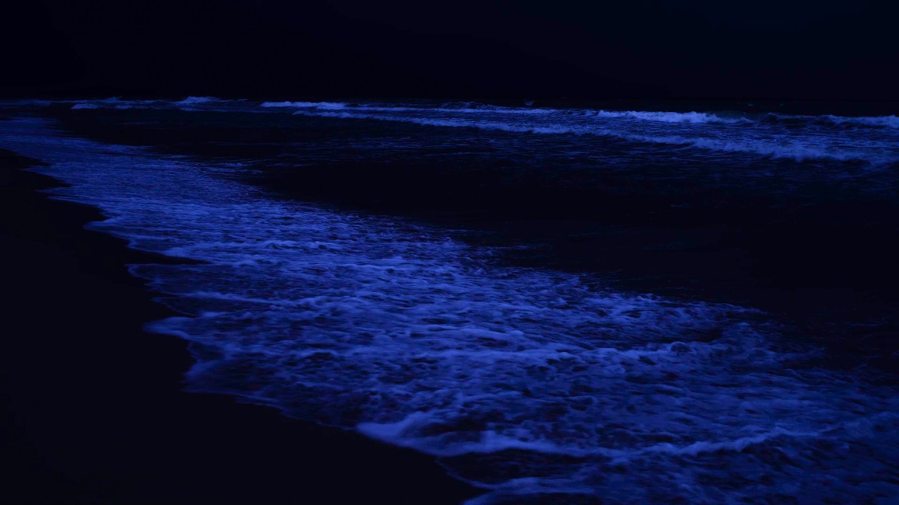 No Ads Fall Asleep In Under 3 Minutes 💤 Body Mind Restoration, Insomnia •Ocean Waves for Deep Sleep