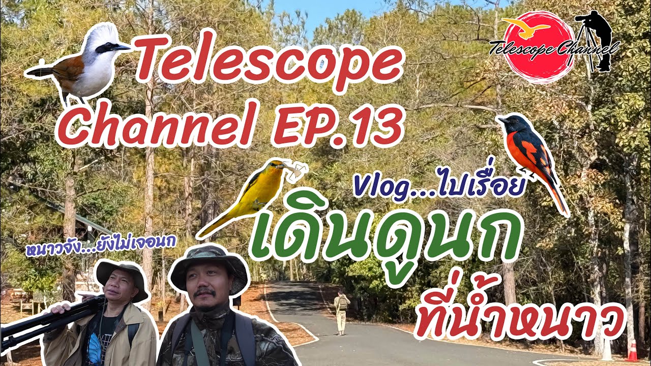 Telescope Channel EP.13 เดินดูนกที่น้ำหนาว