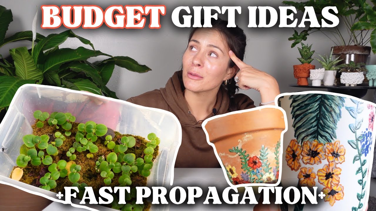 It's not too late to propagate your holiday gifts this year! + (CHEAP) Planter Inspo