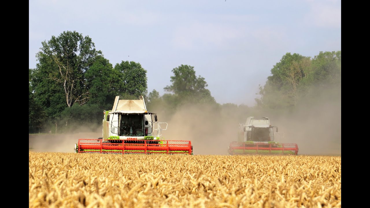 Wheat Harvest | Season 2016 [www.plakys.lt]