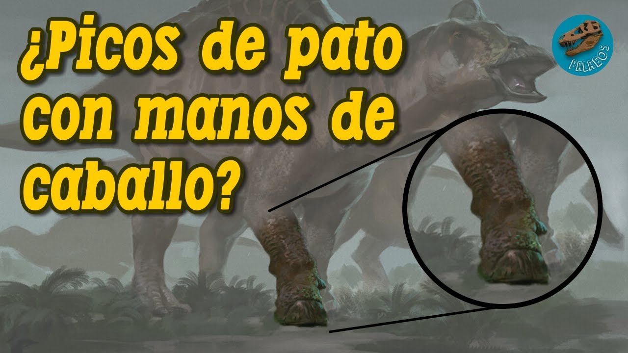 ¿Picos de pato con manos de caballo?