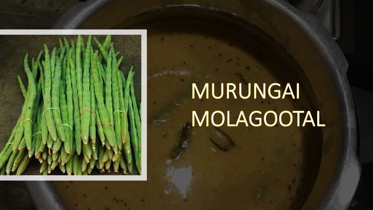 Murungai Molagootal Recipe in Tamil | Palakkad Molagootal | Drumstick Molagootal | Easy recipes |