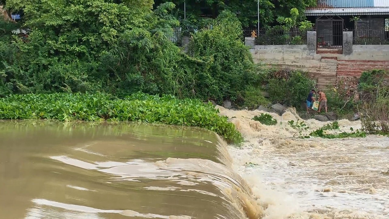 The rapidly rising river water swept away floating plants vegetation