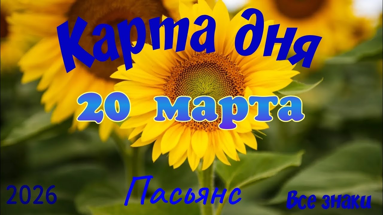 Карта дня 🎁20 марта 💐🌞Пасьянс. Тайм-код в описании 🦢