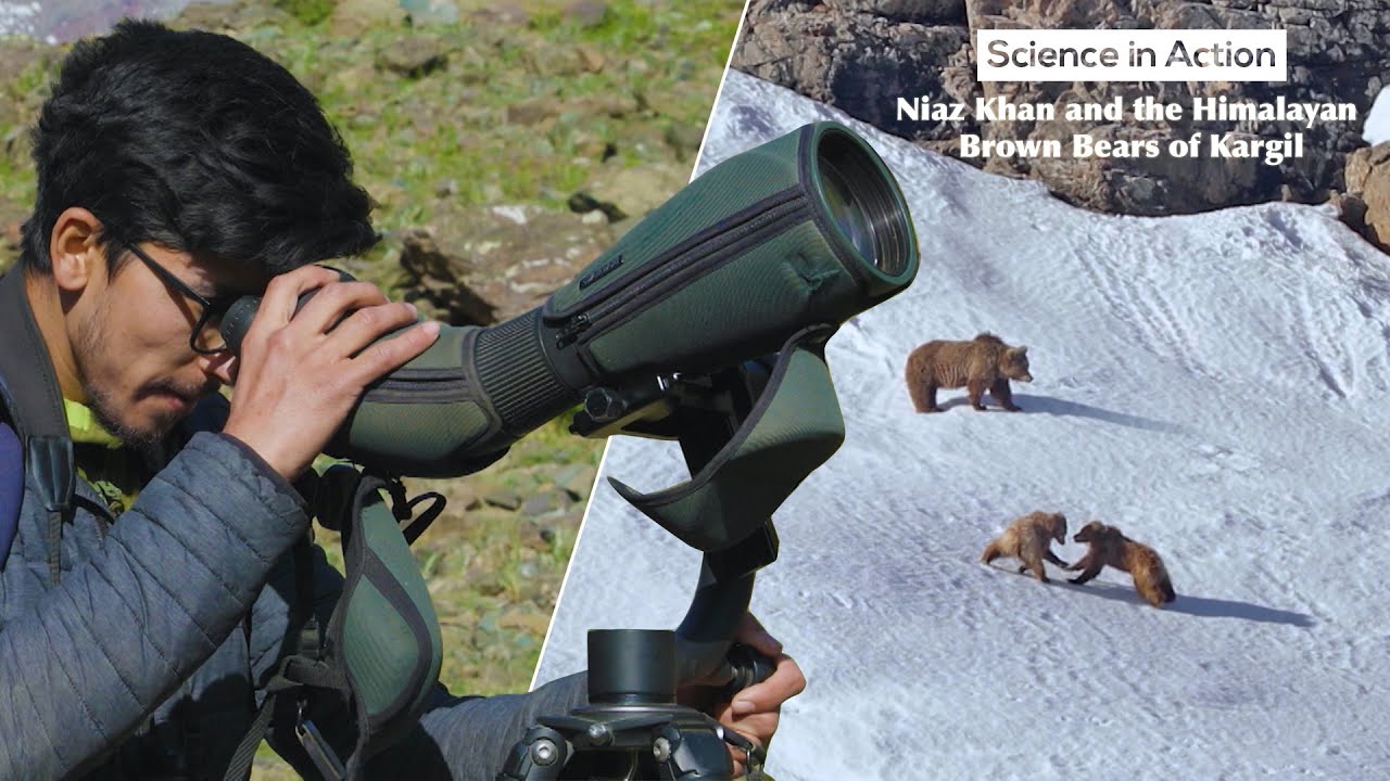 Science In Action Ep-2: Niaz & The Brown Bears of Kargil|Wildlife Conservation|@RoundglassSustain​