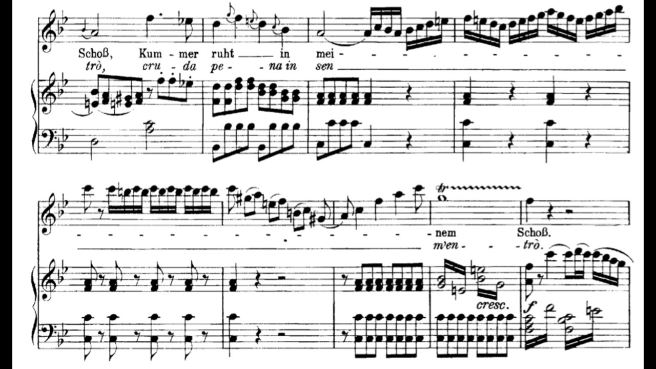 Ach, ich liebte, war so glücklich (Die Entführung aus dem Serail - W.A. Mozart) Score Animation