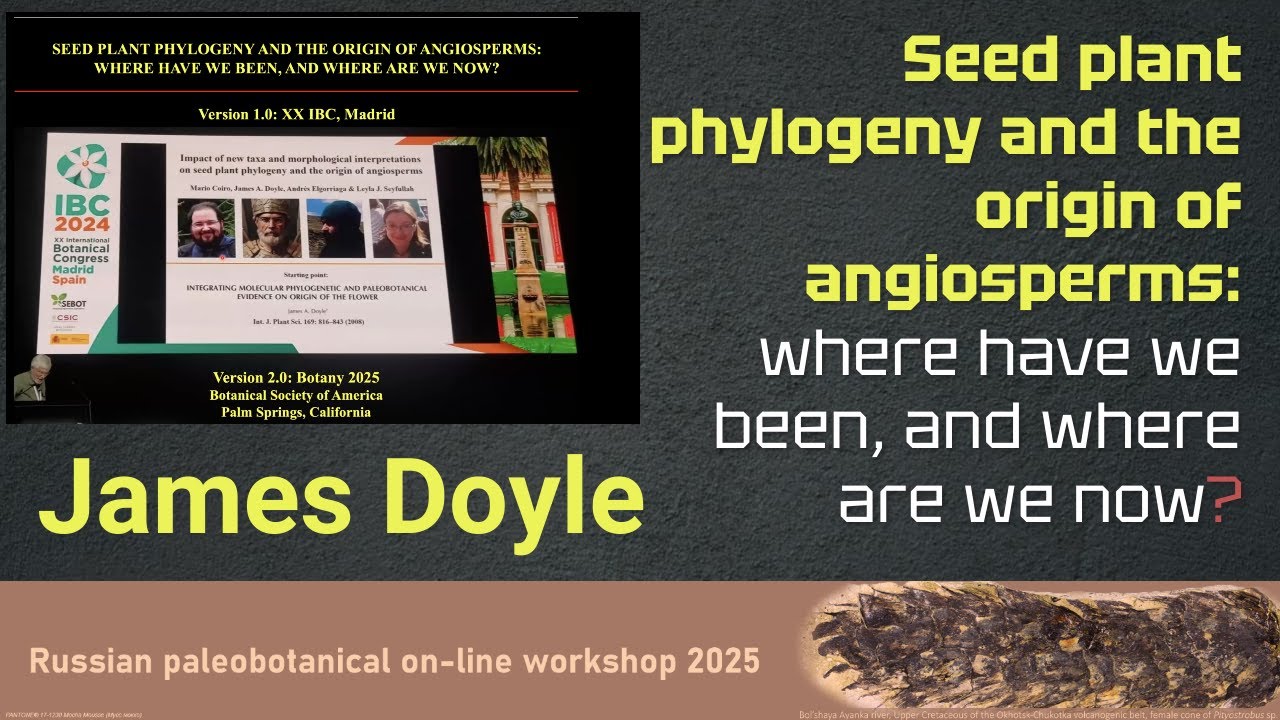 James Doyle - Seed plant phylogeny and the origin of angiosperms