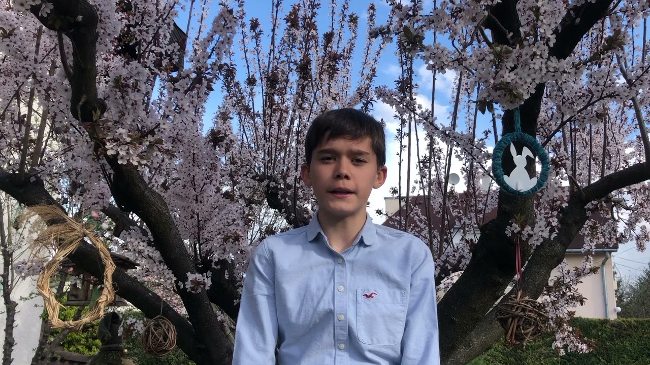 Weisz Noel Nándor: Frühzeitiger Frühling von Johann Wolfgang von Goethe