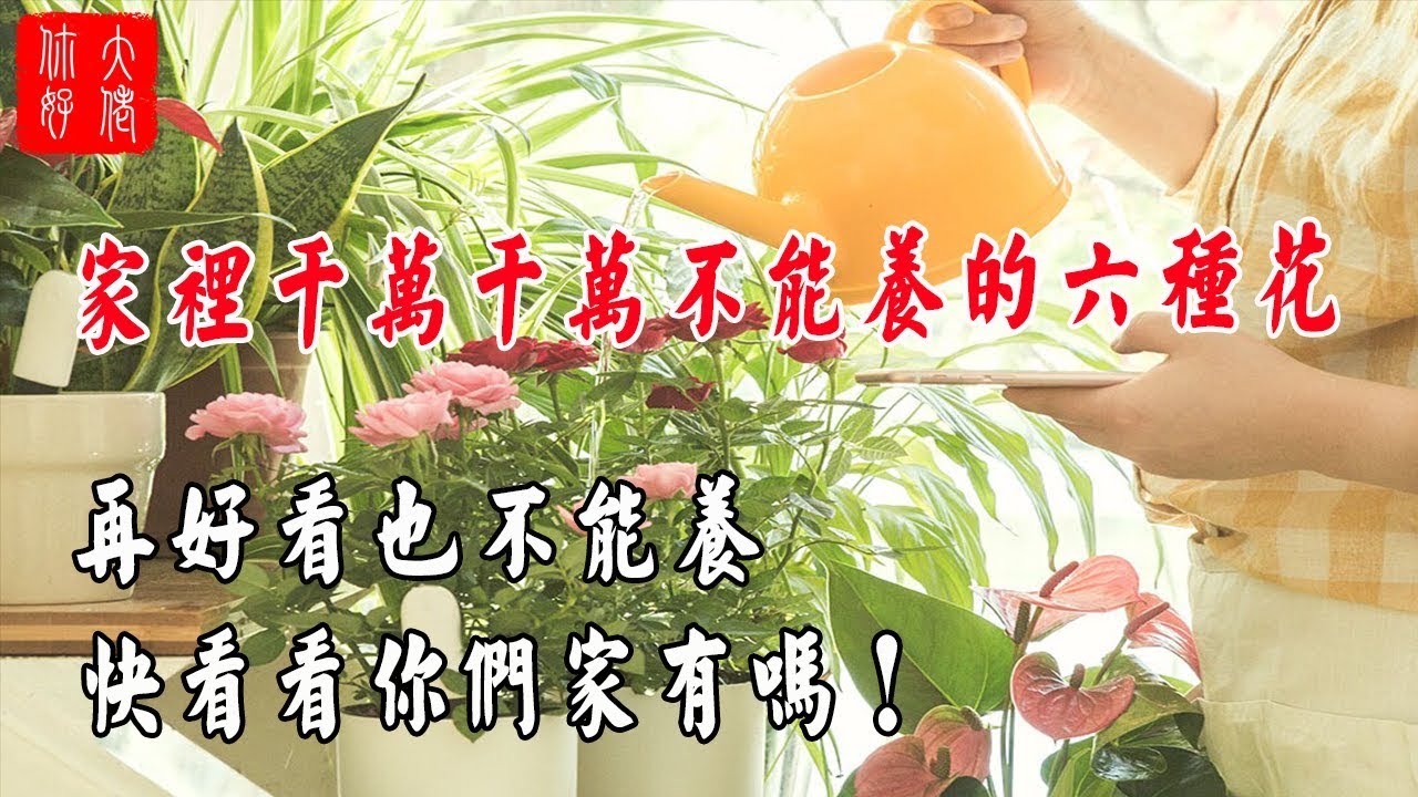 【植物風水】家裡千萬千萬不能養的六種花，再好看也不能養，快看看你們家有嗎！
