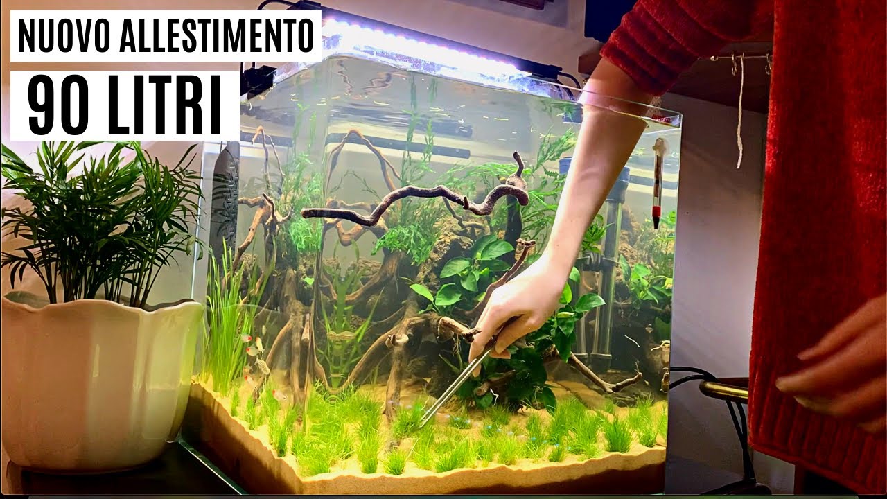 NUOVO ALLESTIMENTO DA ZERO ACQUARIO 90 LITRI 💦