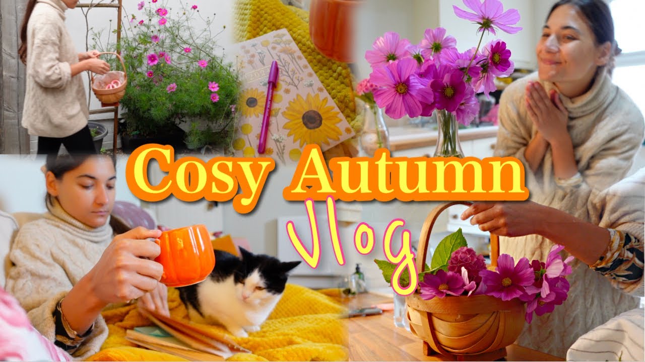 COSY AUTUMN VLOG 2023 & AMAZON FINDS! #autumnvlog #cosyvlog