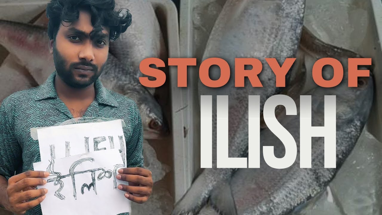 ইলিশ মাছের আত্মকাহিনী