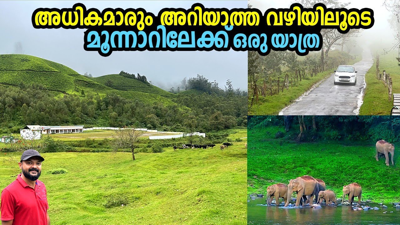 കാടും പുഴയും കാട്ടാനകളെയും കണ്ട് കാടിനുള്ളിലൂടെ മൂന്നാറിലേക്ക്. To Munnar through a Jungle path