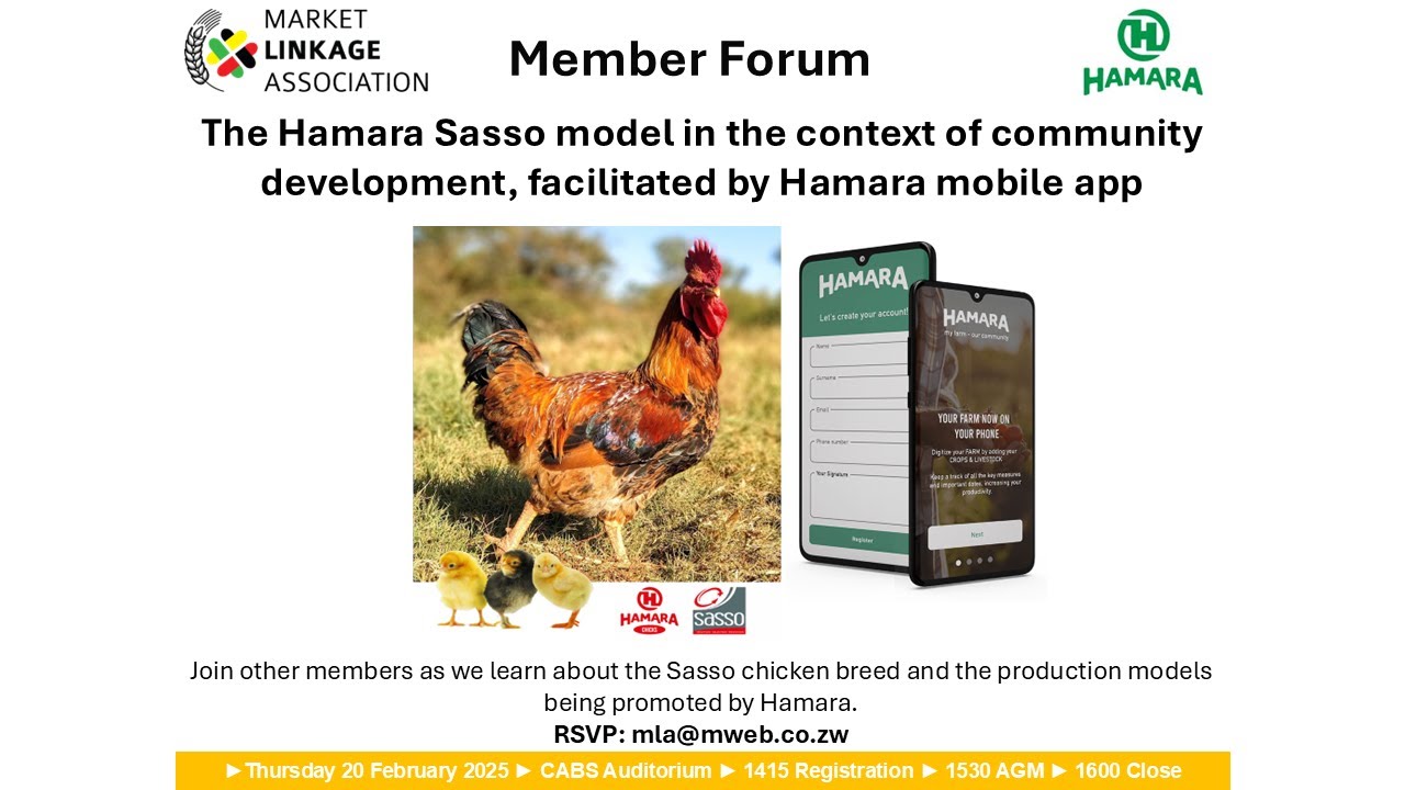 250220 MLA Forum Hamara Sasso Chickens