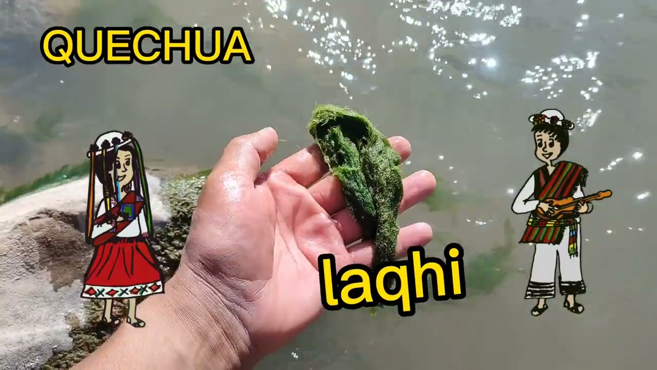 Aprende QUECHUA AQU&Iacute;// qhichwa simita yacharikuy
