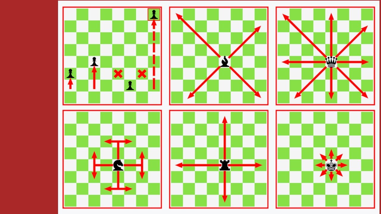Anfänger lernen Schach: Wie ziehen die Figuren? | Sterne sammeln auf Lichess.org [1]  |
