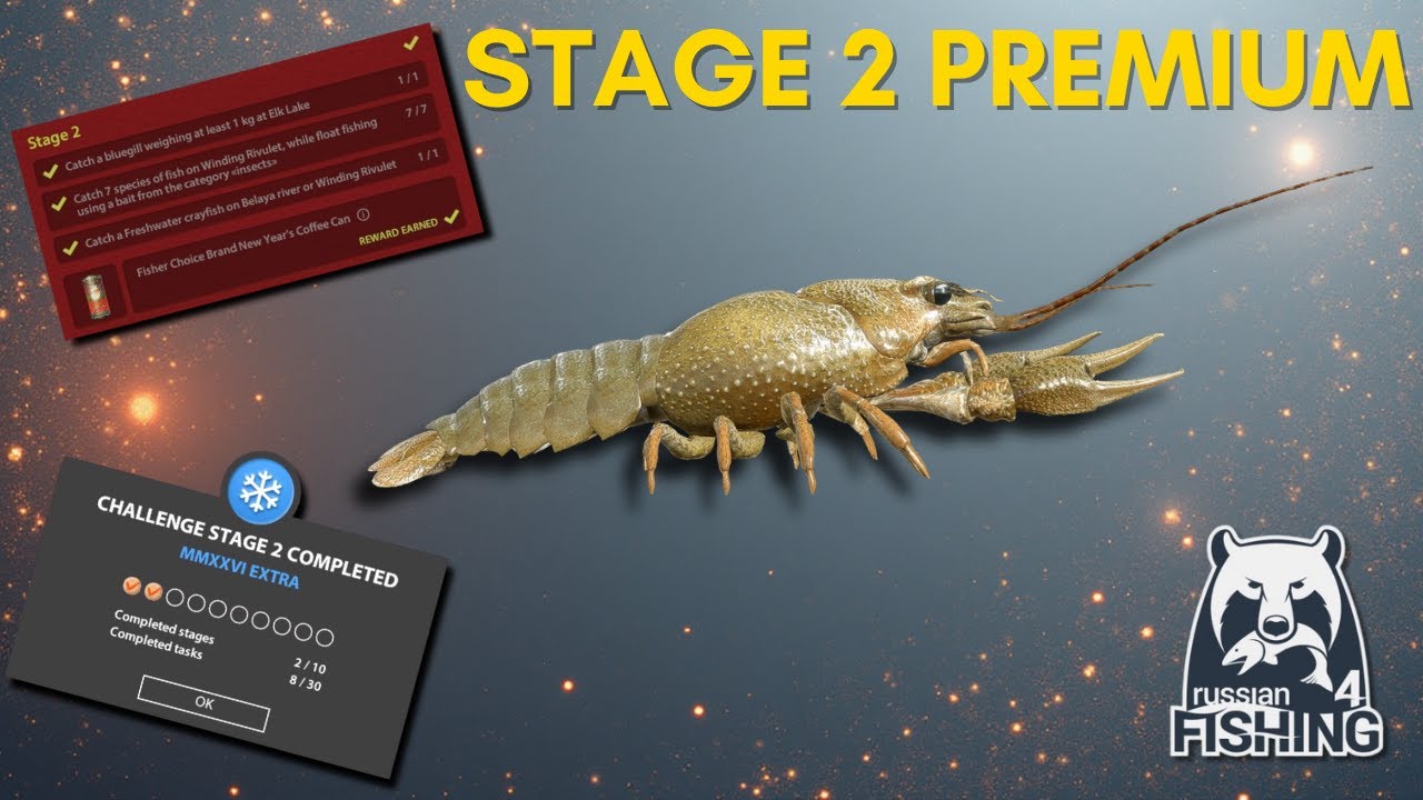 New Year Challenge 2025 - Stage 2 Premium - Russian Fishing 4