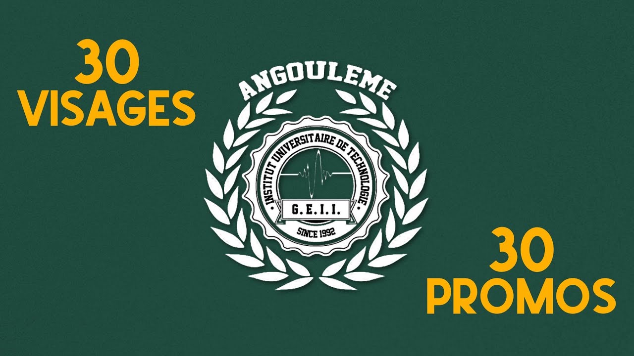 DUT GEII - 30 Visages pour 30 promotions
