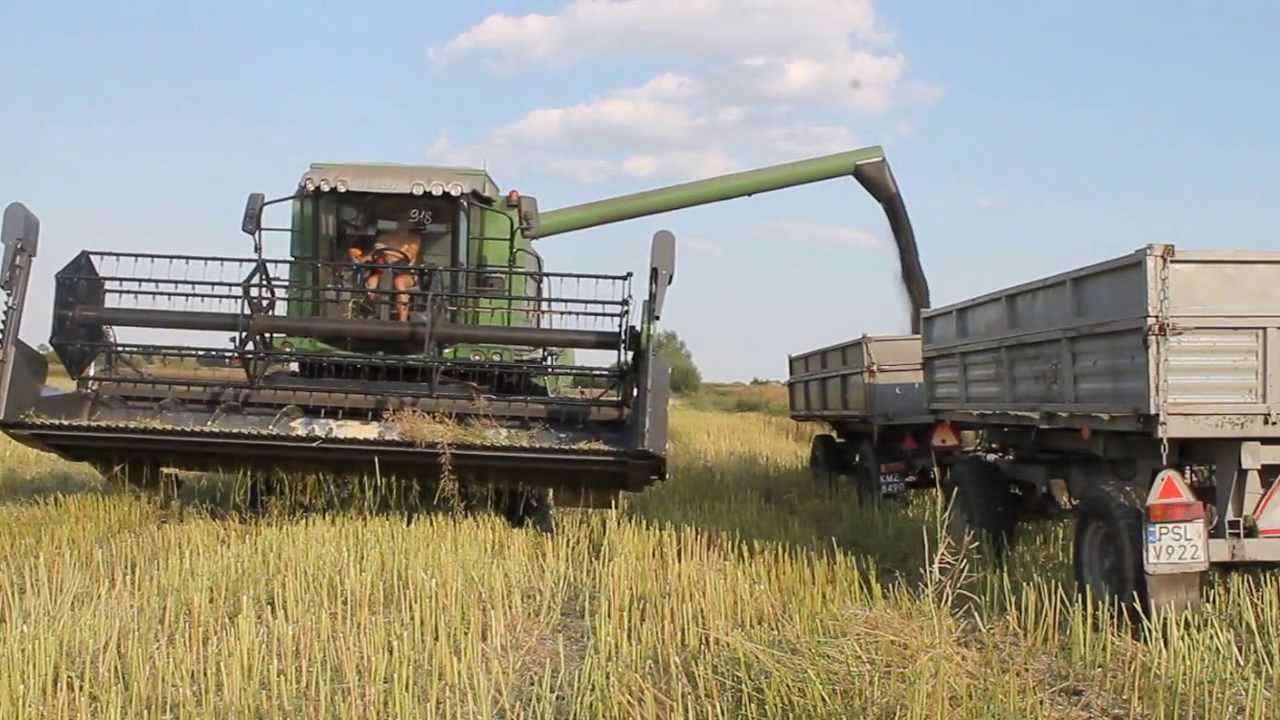 Żniwa 2013.Fendt.Ursus.Fortschritt.Belarus