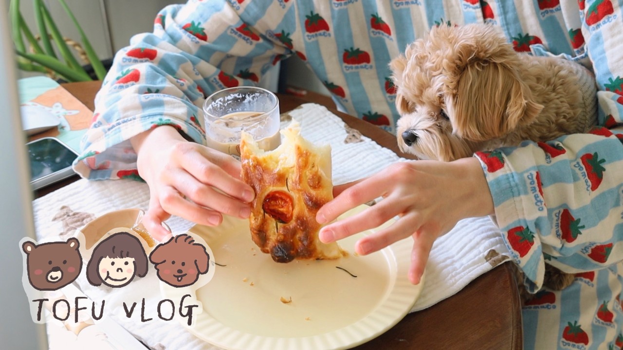 엄마가 뭐 먹는지 궁금한 가나디🐶ㅣ연어덮밥 그리고 포카치아 만드는 일상🥖