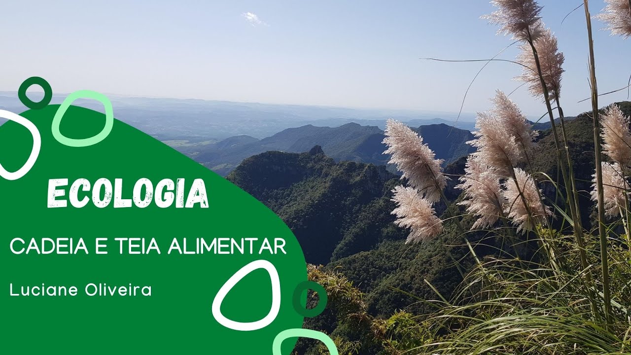 Ecologia:  Cadeia e Teia alimentar
