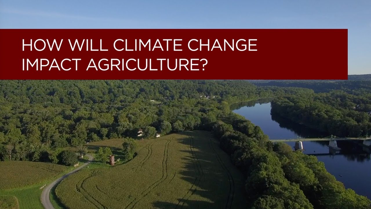 How Will Climate Change Impact Agriculture?