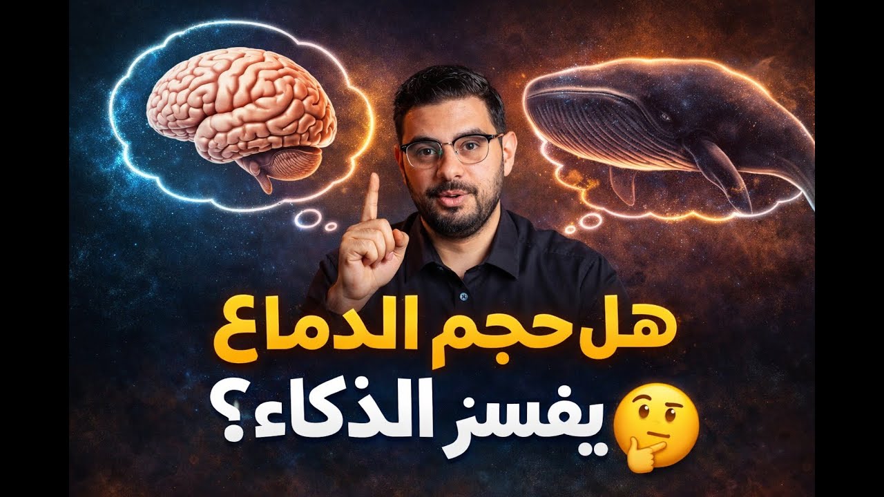 هل حجم الدماغ يفسّر الذكاء؟