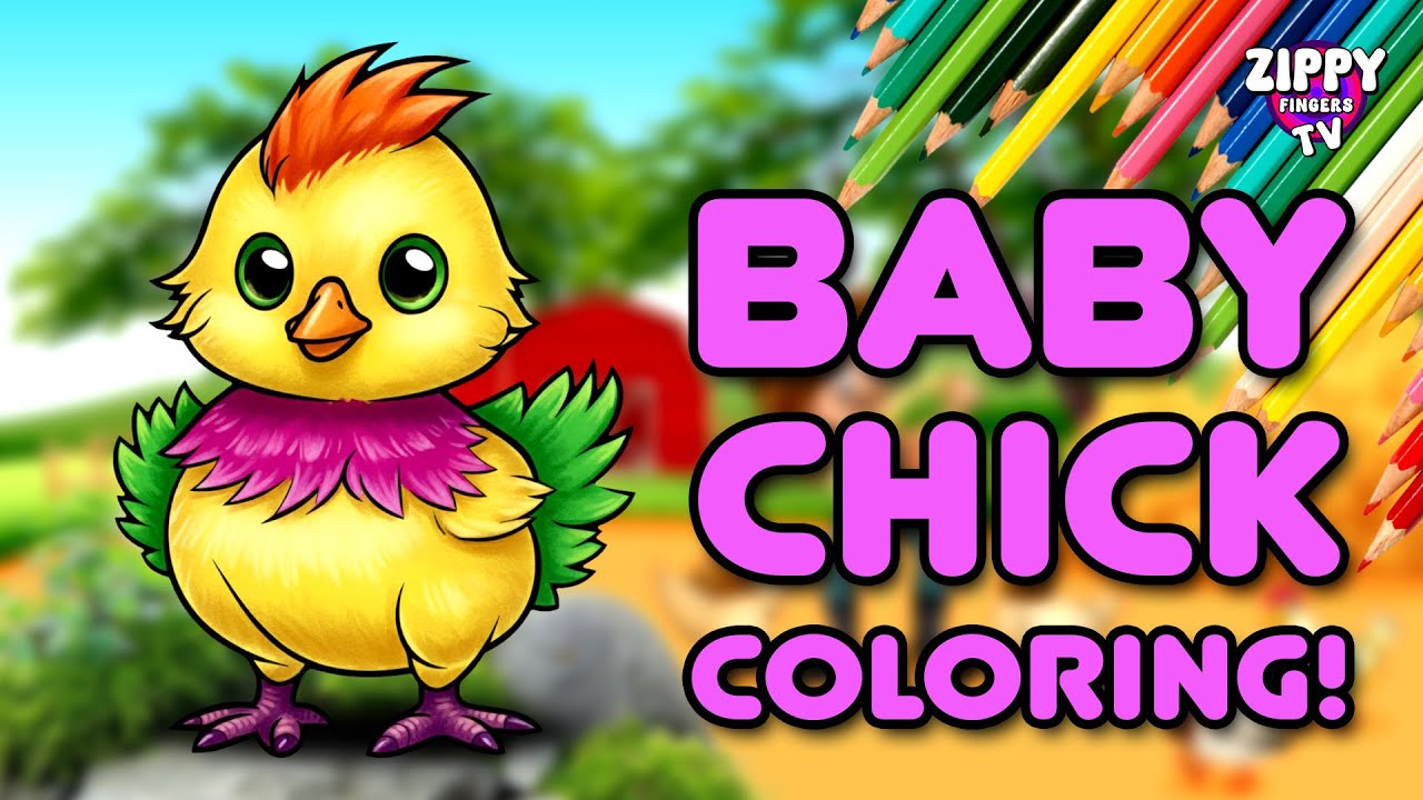 Cute Baby Chick Coloring for Kids | Baby Chick Coloring Page for Kids | Zippy Fingers TV 🎨✨