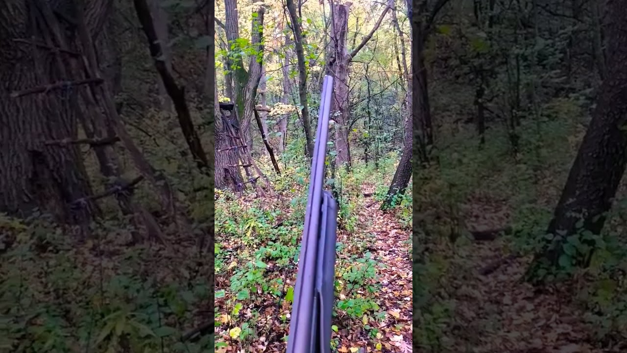 SQUIRREL HUNTING Tip Of The Day #101