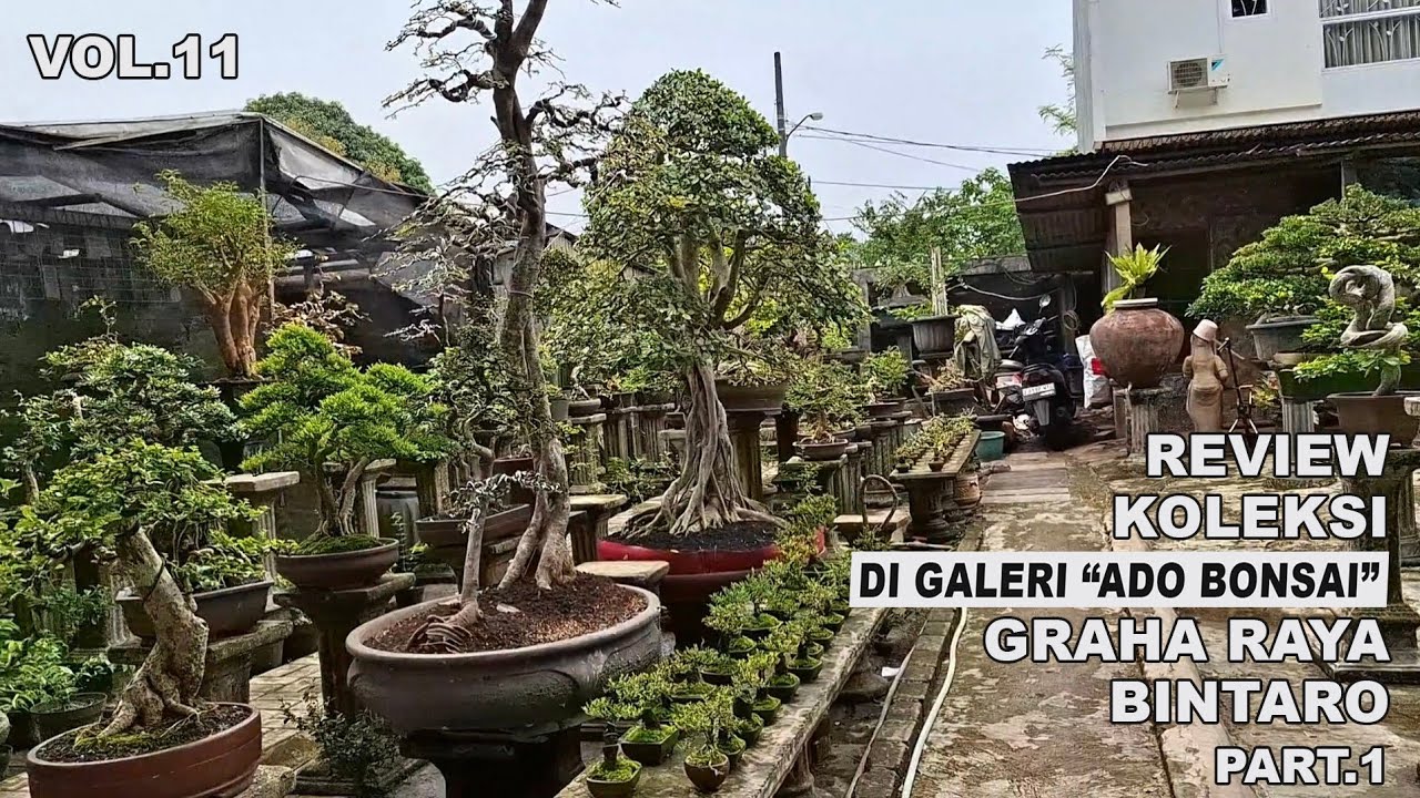 REVIEW KOLEKSI DI GALERI 