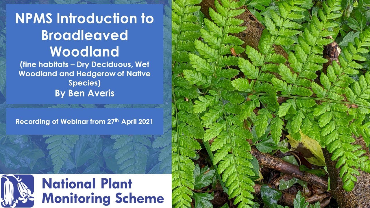 Introduction to Broadleaved Woodland 27th April 2021 Webinar Recording