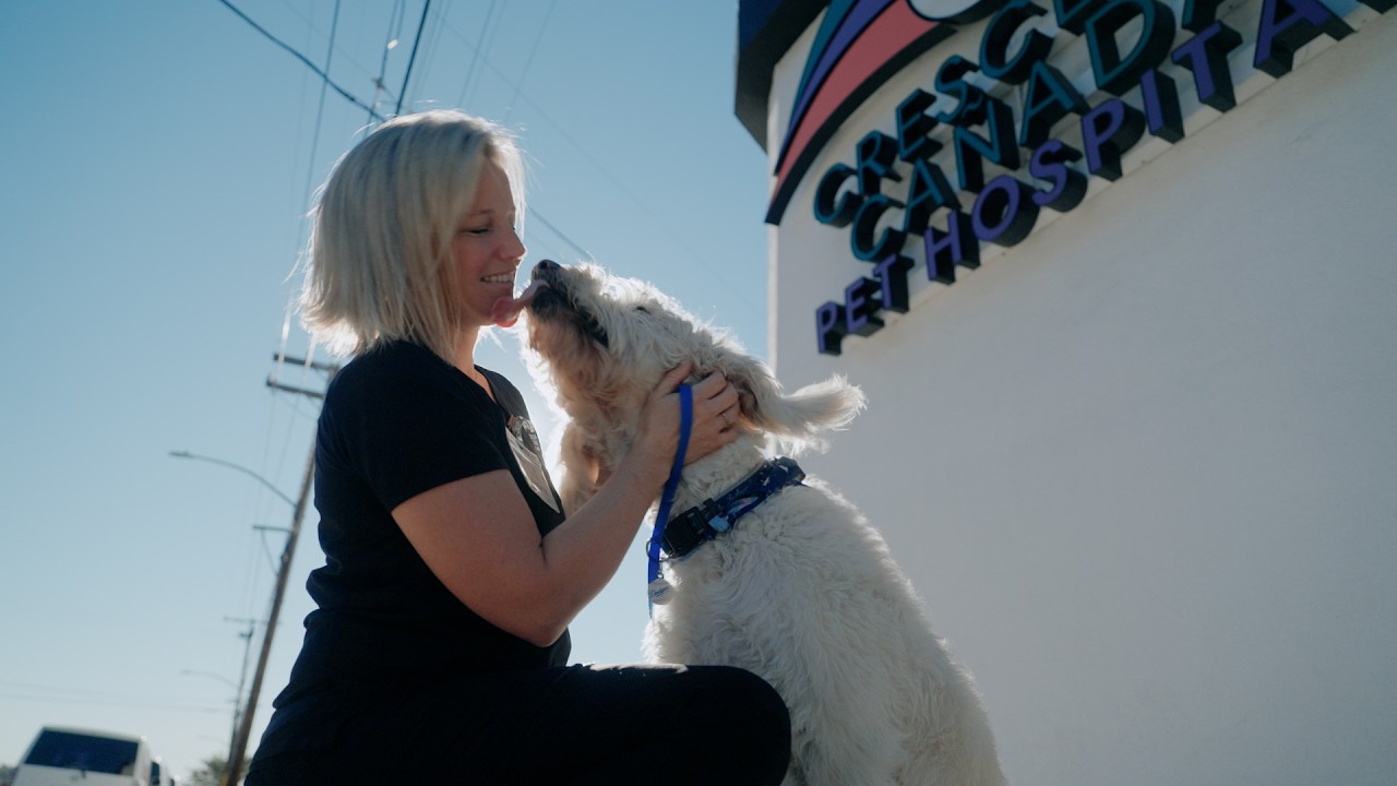 Compassionate Care for Pets at Crescenta Cañada Pet Hospital