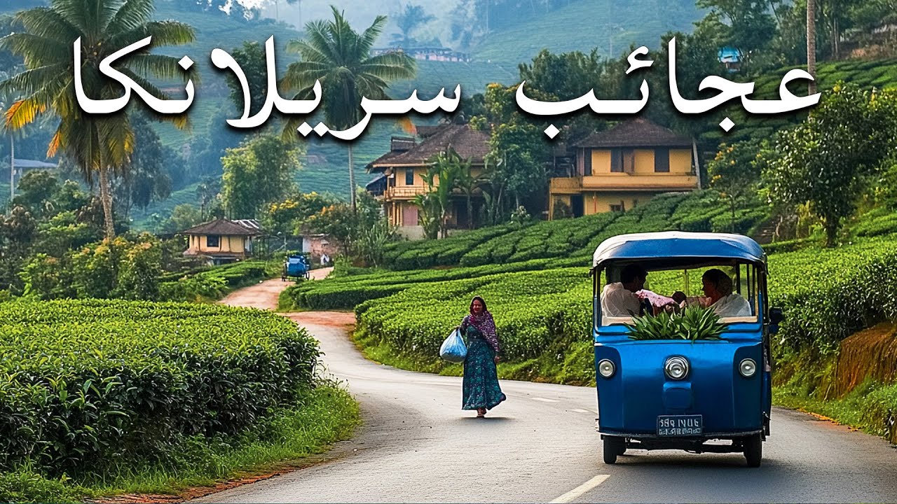 أماكن خفية في سريلانكا | أماكن لا يصدق السكان المحليون أنها موجودة - فيلم وثائقي سياحي بدقة 8K