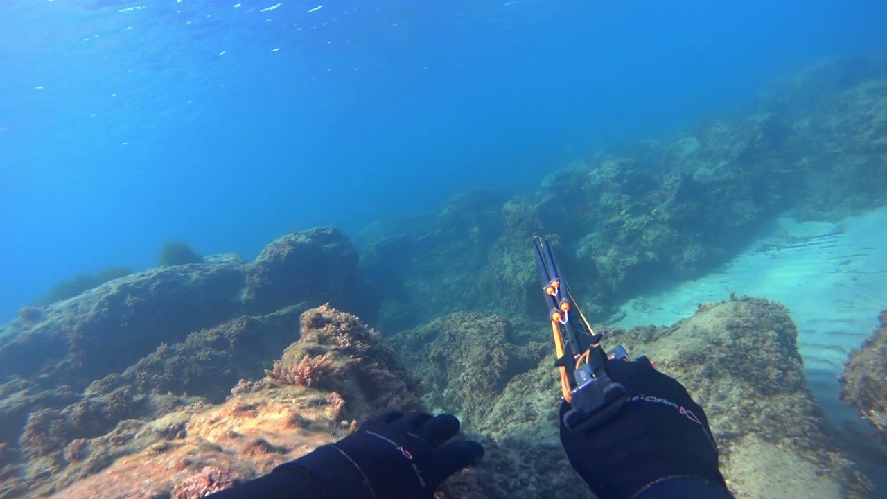 Shallow spearfishing ( Ρηχό ψαροντούφεκο )