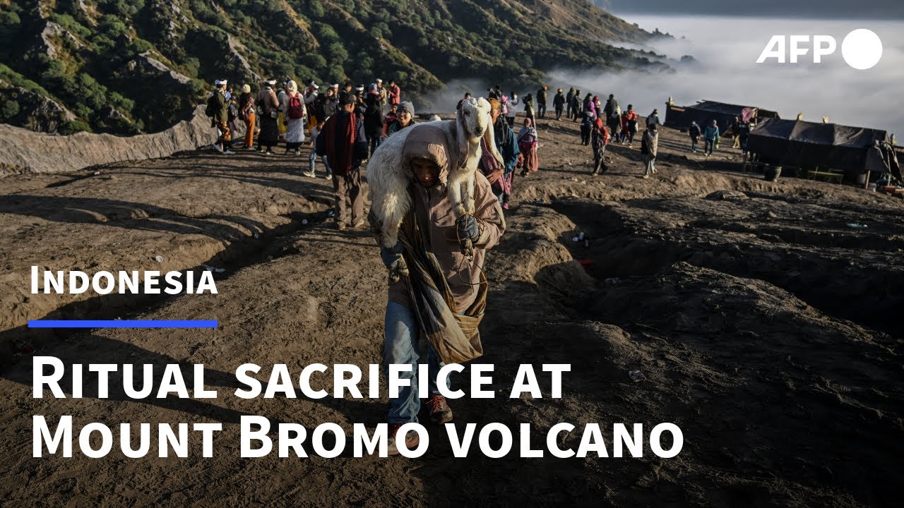 Indonesia volcano draws thousands for ritual sacrifice | AFP