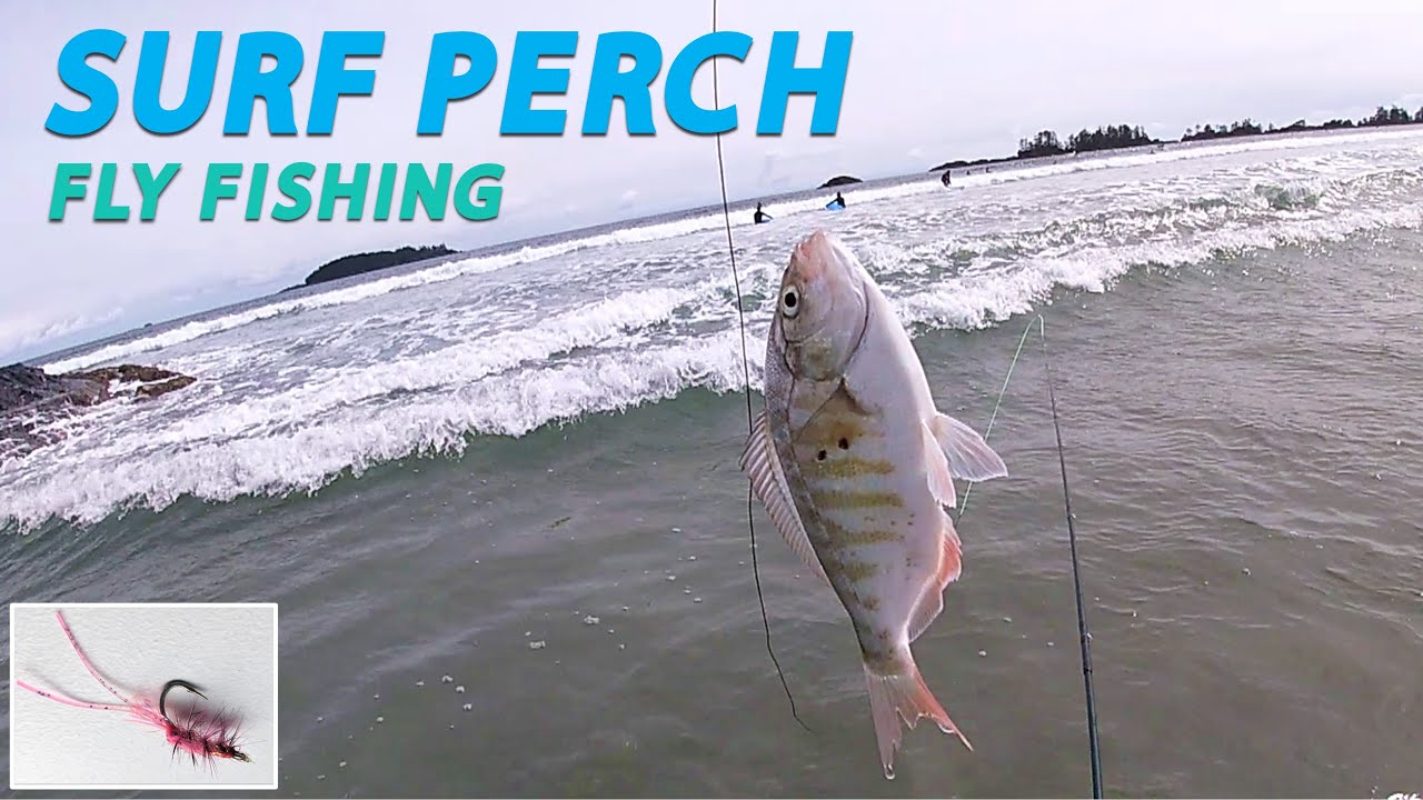I went beach fly fishing for Red Tail Surf Perch  [Tofino, BC]
