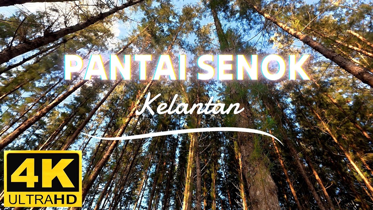 “Pantai Senok Bachok Kelantan | Beautiful Senok Beach Malaysia 2025 [4K UHD]”