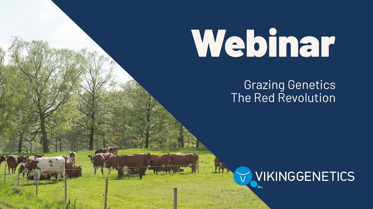 WEBINAR: Grazing Genetics – The Red Revolution