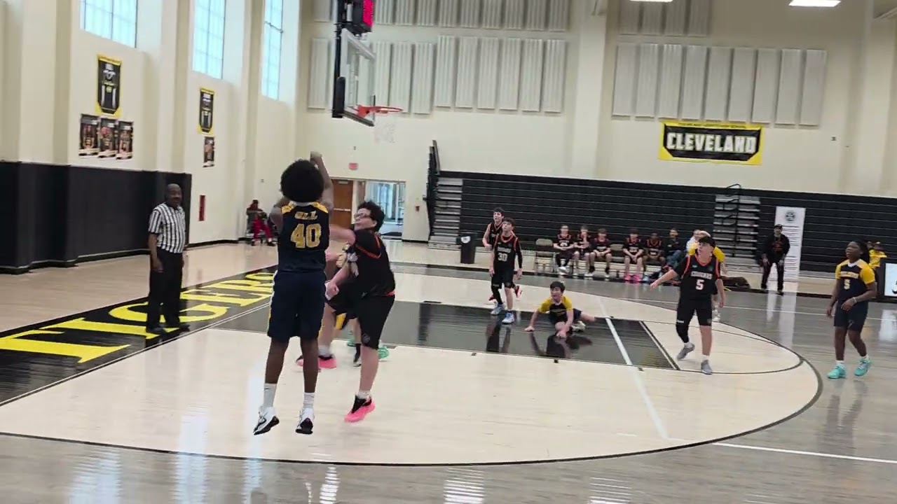 St.Anthony of Padua vs Our lady of the lady 