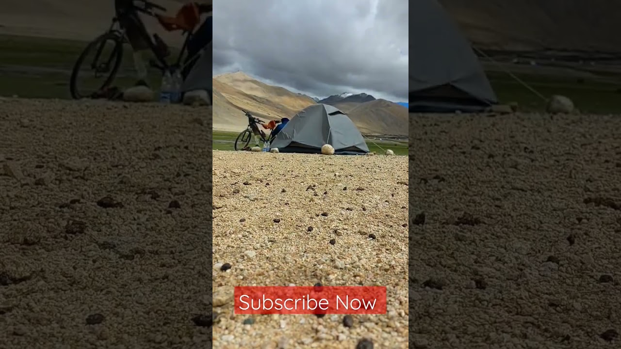 Ladakh Camping #shorts #explore #ladakh #camping