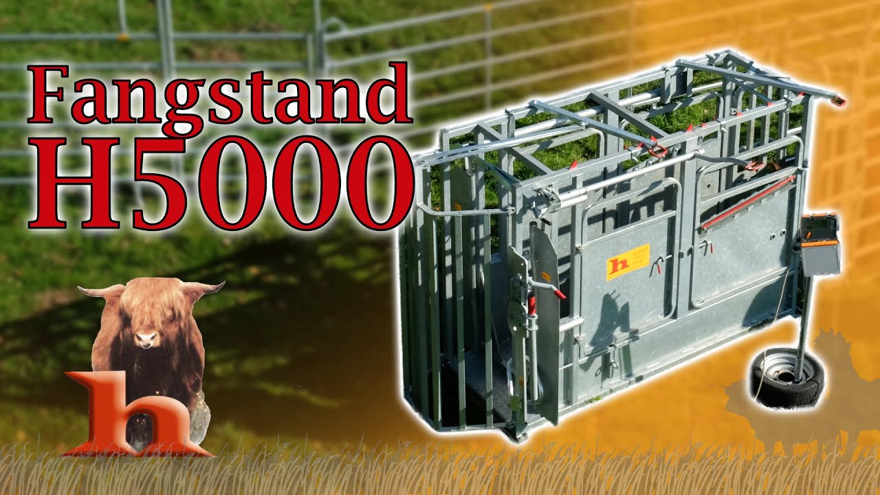 Fangstand / Behandlungsstand H5000 Rinder - Highland Stall & Weide