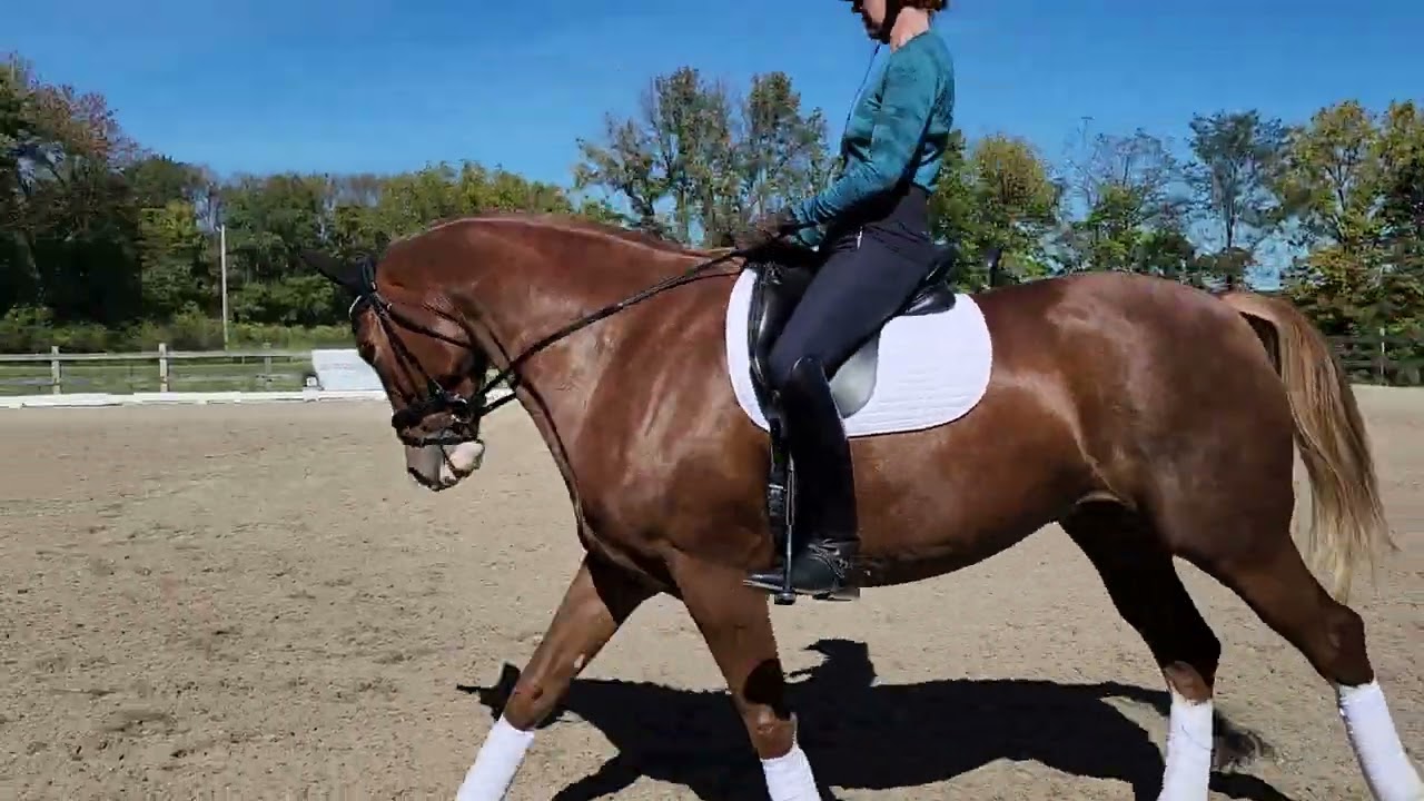 10/22 - day 2 Scott Hassler clinic Kingston 2