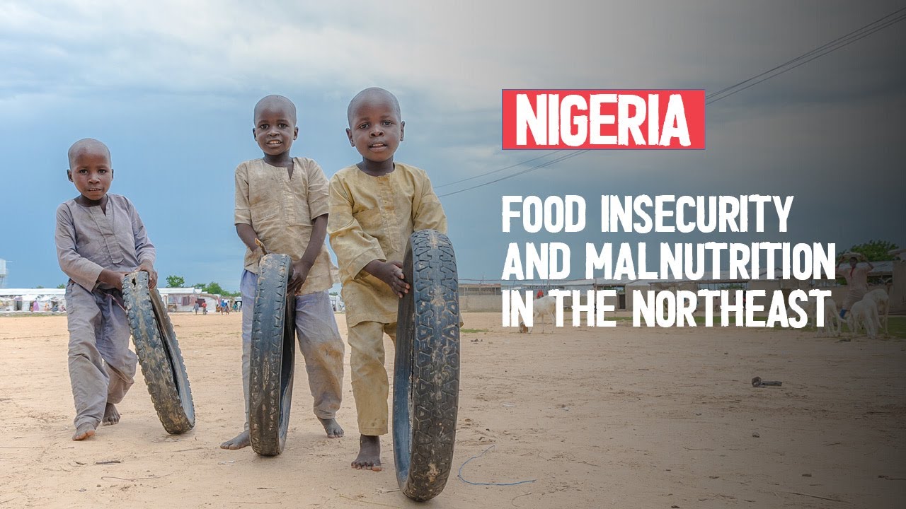 Emergency Response in Northeast Nigeria (2016)