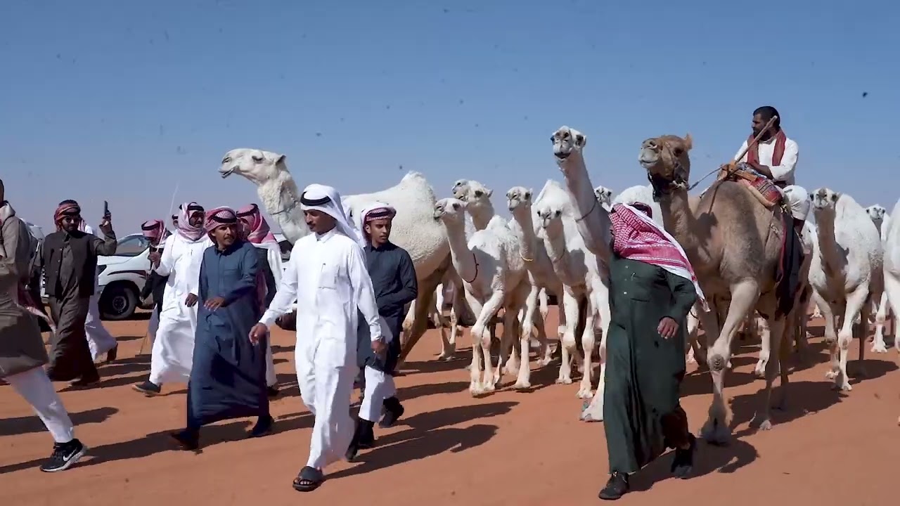 مسيرة /  فلاح بن خصيوي