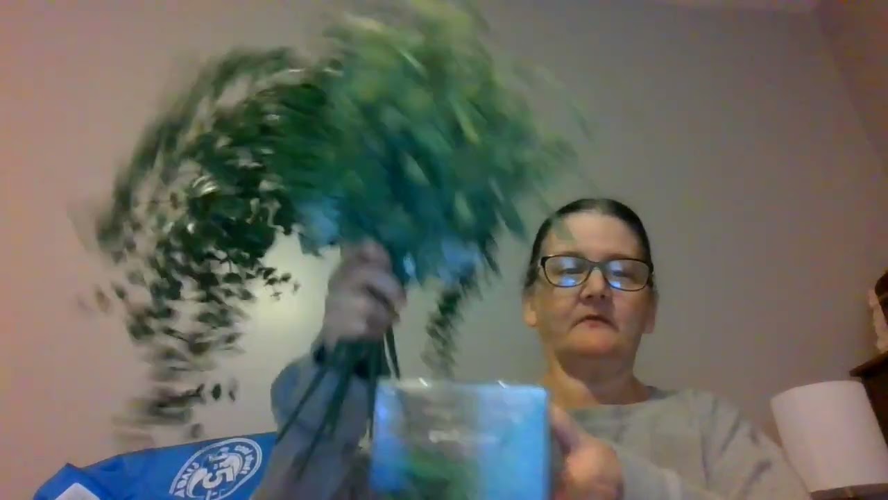 HOME GOODS,FIVEBELOW,DOLLAR TREE,