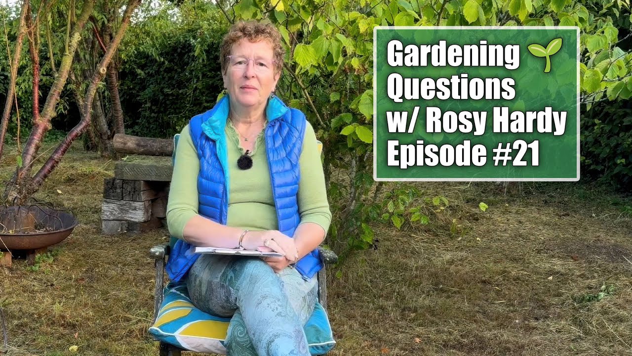Getting Rid of Spotted Spurge? Propagating Variegated Plants? | Gardening Questions w/ Rosy Hardy