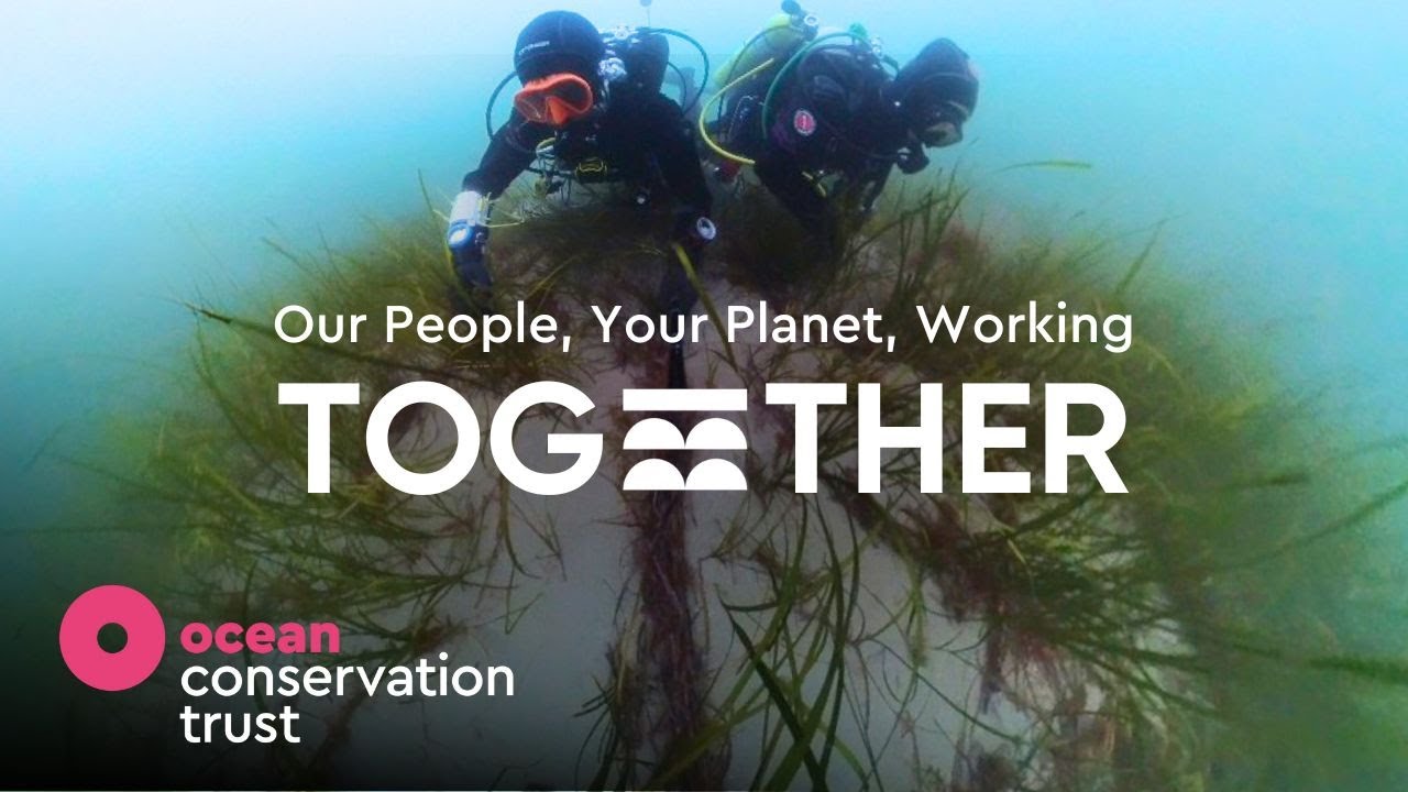 Our People, Your Planet, Working Together | Big Give 2025